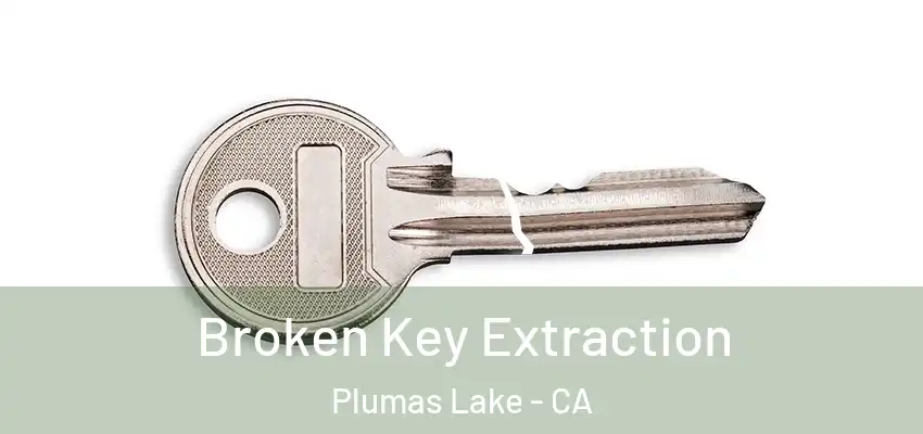  Broken Key Extraction Plumas Lake - CA