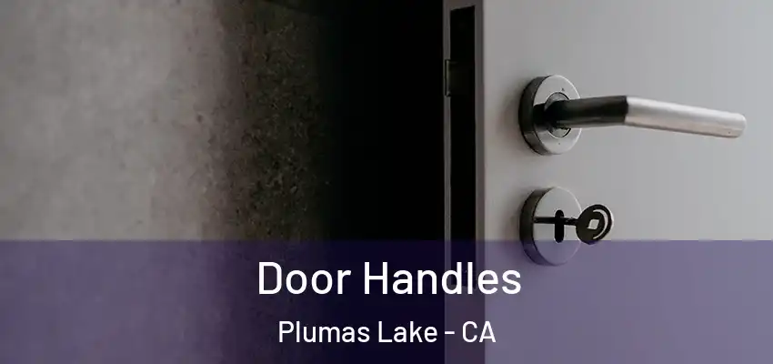  Door Handles Plumas Lake - CA