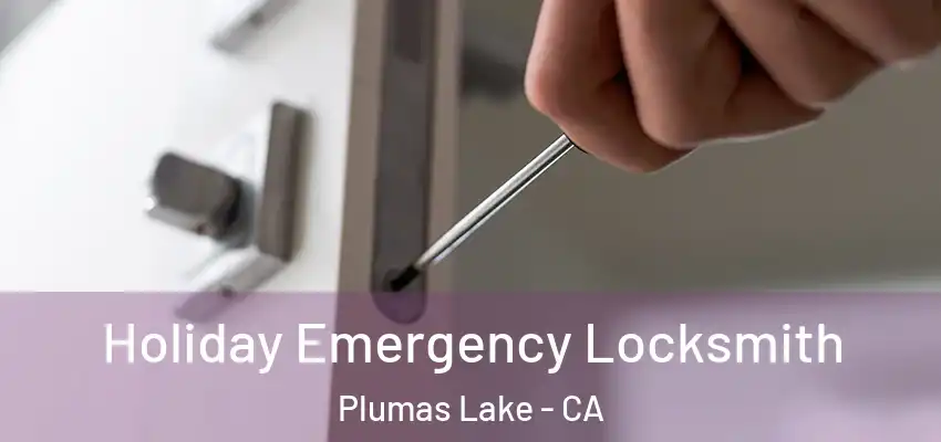  Holiday Emergency Locksmith Plumas Lake - CA