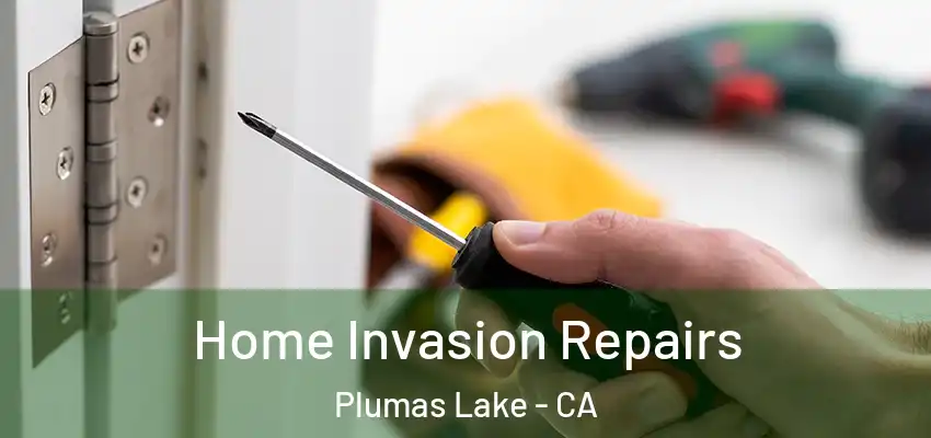  Home Invasion Repairs Plumas Lake - CA