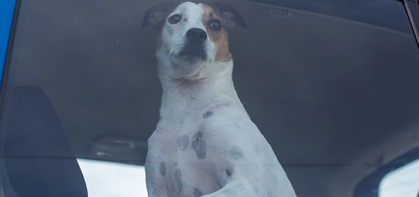 Car Lockout Solutions in Plumas Lake, California