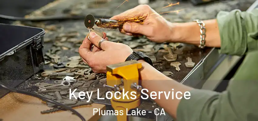  Key Locks Service Plumas Lake - CA