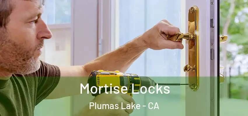  Mortise Locks Plumas Lake - CA