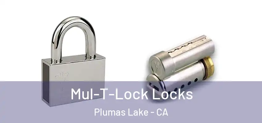  Mul-T-Lock Locks Plumas Lake - CA