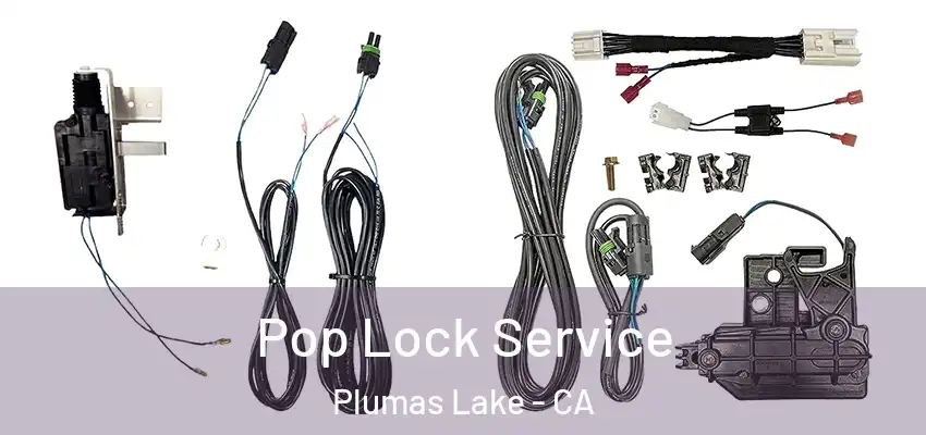  Pop Lock Service Plumas Lake - CA
