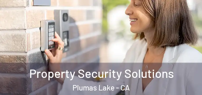 Property Security Solutions Plumas Lake - CA