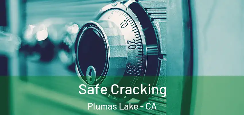  Safe Cracking Plumas Lake - CA